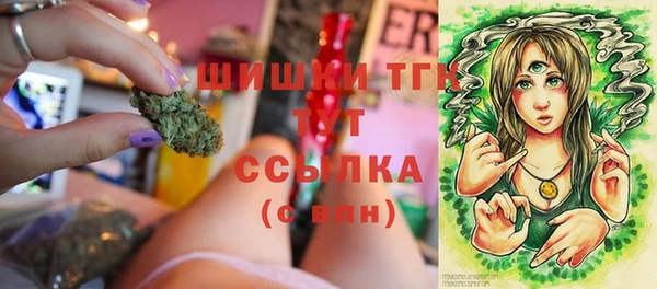 Альфа ПВП Кулебаки