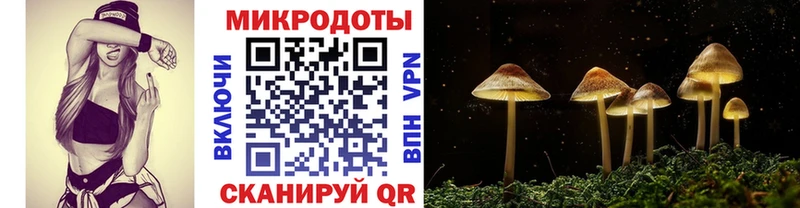 Псилоцибиновые грибы Magic Shrooms Саратов